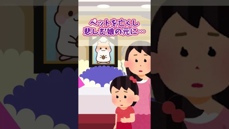 ペットを亡くし悲しむ娘の元に… #感動する話 #涙活 #ほのぼの #ほっこり #ほっこりする話 #ハムスター #ペット