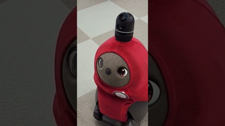 애완용 로보트, 이름은 딸기랍니다. 가격이 오백만원! 켁! ペットロボットいちごちゃん。ヨトウムシカメラ。#애완로보트#로봇#ペットロボット#ロボット