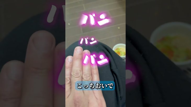 【夜勤明けの怪音】#デグー#デグーマウス#齧歯類#ペット動画