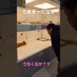 初めてのペットショップ　#ペット#犬#猫#可愛い#福山#家族になろうよ