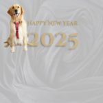 新しい一年も、あなたとペットの幸せをサポートします。 今年もよろしくお願いいたします。