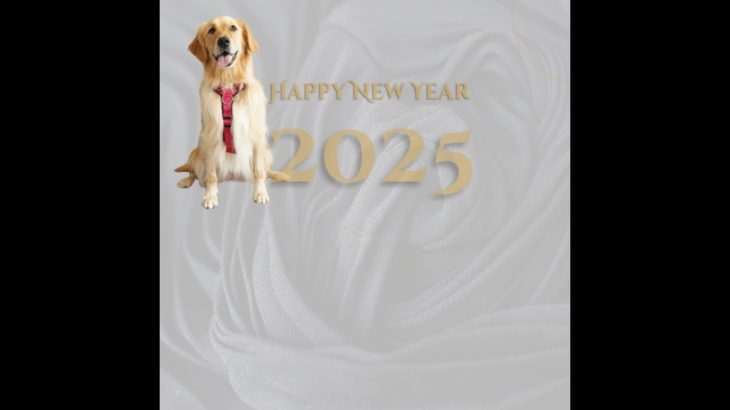 新しい一年も、あなたとペットの幸せをサポートします。 今年もよろしくお願いいたします。