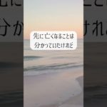 【ペットからもらった無償の愛。亡くなることは悲しいけれど、飼ったからこそ知れた愛】#ペットロス #癒し