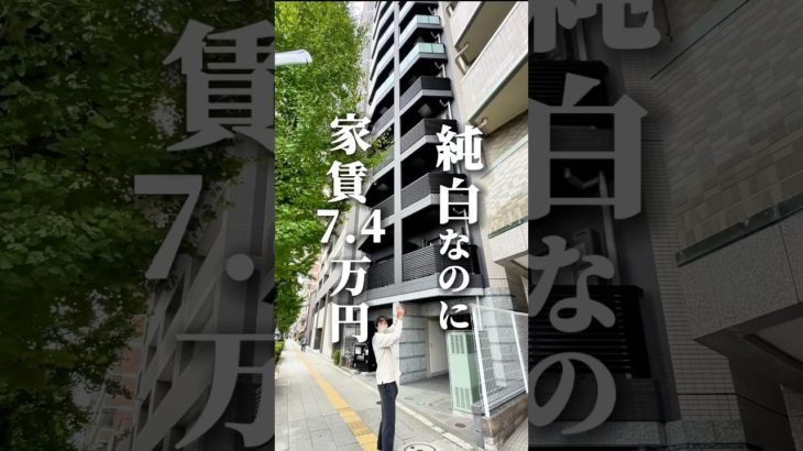 ペット可1人暮らしならココ　#ペット可賃貸 #ペット可物件 #東京ペット可賃貸 #東京ペット可物件　#北千住駅 #一人暮らし賃貸