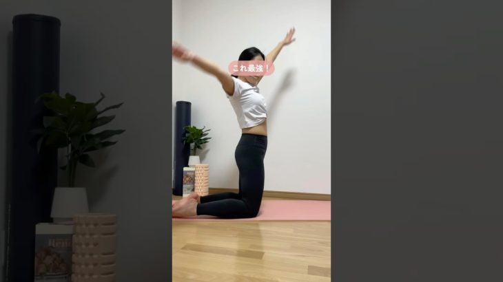 習慣になる1分トレ / 腹筋よりこれやって！　　　　　　　　　　　　　　　　#ダイエット #お腹痩せ #下半身痩せ #楽痩せ #すきまトレーニング #簡単トレーニング #ゆるトレ #宅トレ