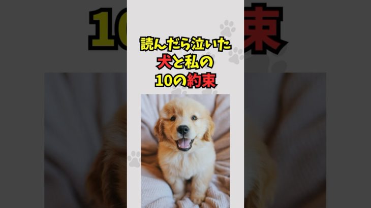 犬と私の10の約束#shorts #犬 #いぬ #ペット #感動する話 VOICEVOX:春日部つむぎ