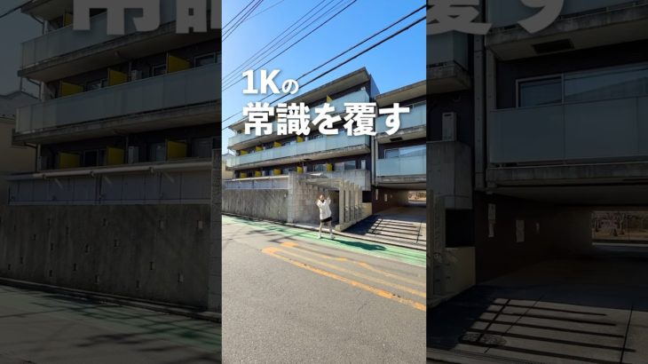 こんなお部屋なら1Kもアリ🥺楽器演奏相談可・ペット相談可です🫶 #ルームツアー #不動産 #賃貸 #お部屋探し #立川市 #玉川上水駅