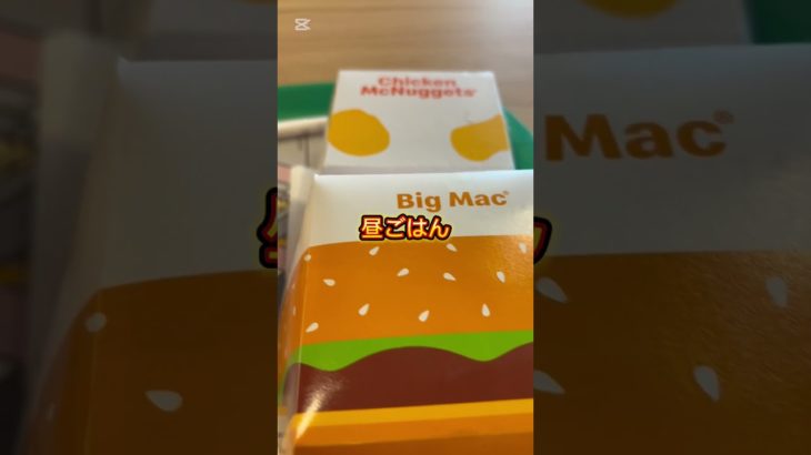 2025年2月17日（ダイエット220日目） #ダイエット #ダイエット記録 #マクドナルド