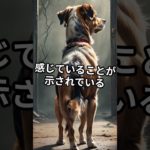 知らなかった犬の雑学4選 #犬 #いぬ #ペット #雑学