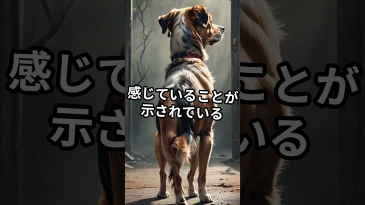 知らなかった犬の雑学4選 #犬 #いぬ #ペット #雑学