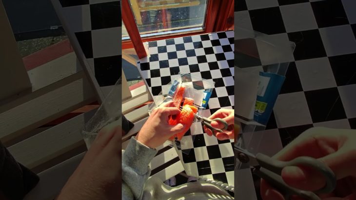 My Pet Seagull Defends His Salmon Throne!…