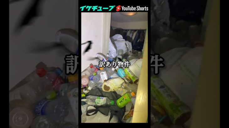 N(なんか)P(ペットボトル)O(多い)物件紹介✨NPO✨#shorts #エンタメ #コメディ #ゴミ屋敷