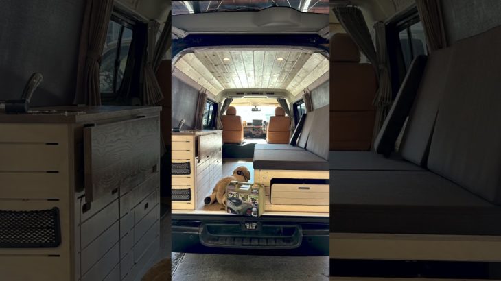 【キャンピングカー】ペットと一緒に過ごす車中泊！！ワンちゃん向けオプション装備のSAny.VAN！！　#shorts