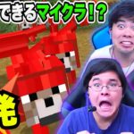 謎の光線銃で見た目をTNTにできる危険なワールドがやばいwww【マインクラフト】