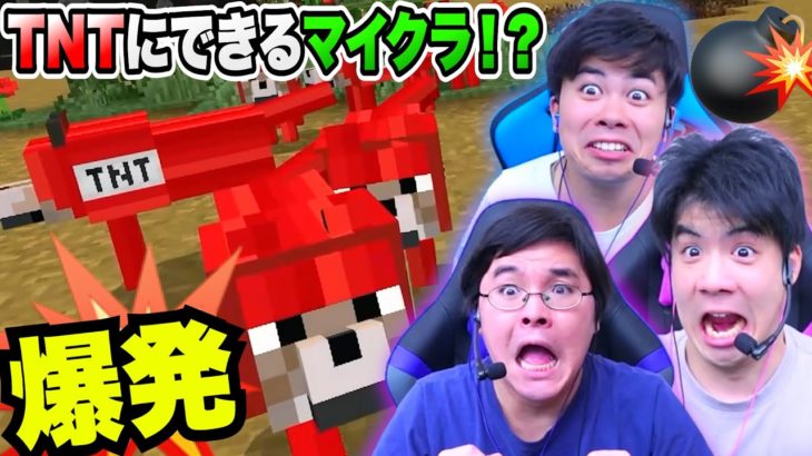謎の光線銃で見た目をTNTにできる危険なワールドがやばいwww【マインクラフト】