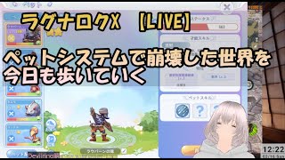 ラグナロクX　まったりペット遊びとギル活【LIVE】#rox