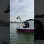 毎回彼女がメイクする時💄#couple#カップル #japanesecouple