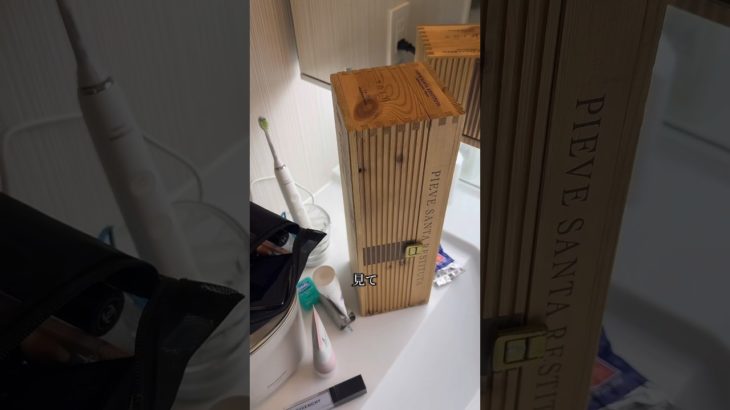 #洗面所界隈 #grwm #さわブロ #毎日メイク