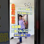 北谷町吉原 築浅マンションペット可物件のご紹介🐶🐈🉑  #shorts #ペット可物件 #ルームツアー #沖縄不動産