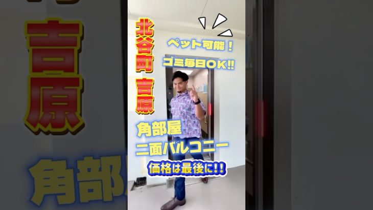 北谷町吉原 築浅マンションペット可物件のご紹介🐶🐈🉑  #shorts #ペット可物件 #ルームツアー #沖縄不動産
