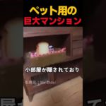 ペット用の巨大マンション　#面白い  #shorts