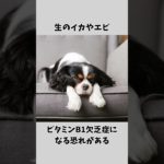 犬がだべると危険なもの#shorts #犬 #いぬ #ペット #イヌ VOICEVOX:春日部つむぎ