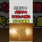 犬の名言集#shorts #犬 #いぬ #名言 #ペット VOICEVOX:青山龍星