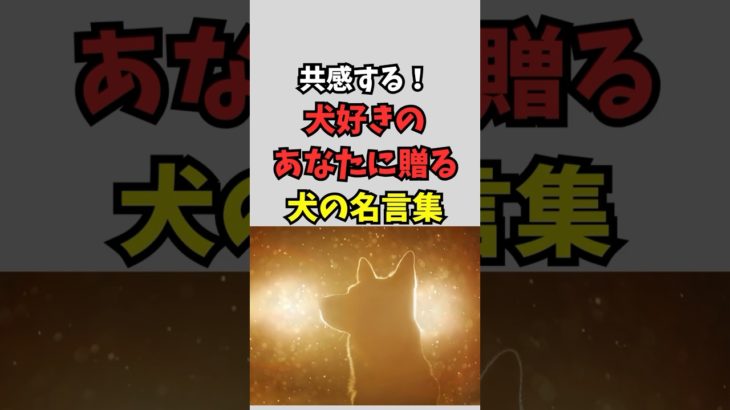 犬の名言集#shorts #犬 #いぬ #名言 #ペット VOICEVOX:青山龍星