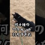 犬のワクチンも気をつけて下さい　#ペット業界の闇