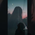 ペットを失ったあなたへ。少しでも心が軽くなりますように