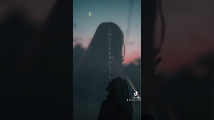 ペットを失ったあなたへ。少しでも心が軽くなりますように