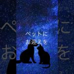 【ペットが苦しそうに見えたら、医療を受けさせた後は、お名前を呼んで応援してください。】 #ペットロス #癒し