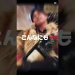 フィッシャーズの単体の動画出したことなかったので！！#フィッシャーズ#ウオタミ