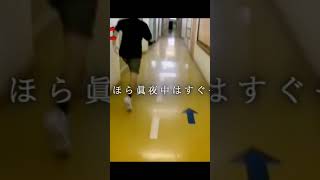 シルクカッケー #フィッシャーズ切り抜き