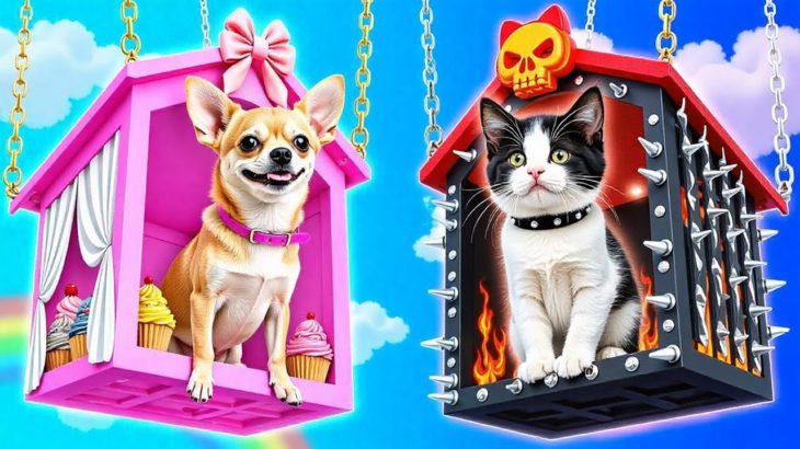 養子にしたペットのために夢の動物園を作りました！ペットオーナー向けのクールなハックとガジェット