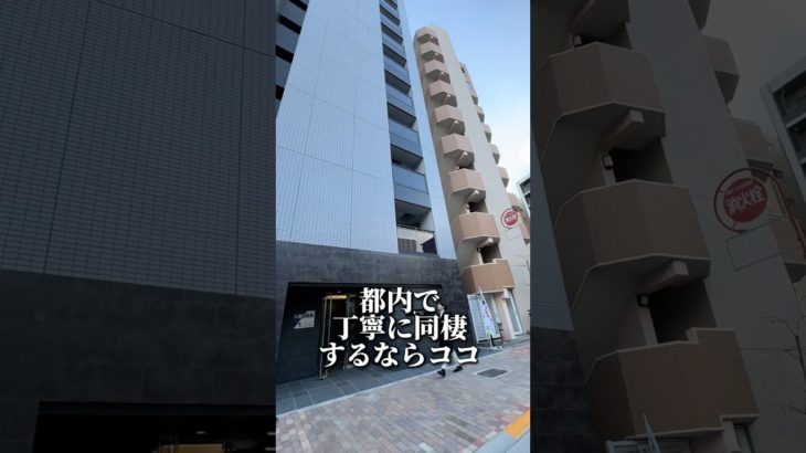 都内で丁寧に同棲してペットと住むならココ#賃貸  #物件紹介 #お部屋紹介 #お部屋探し #不動産仲介 #ルームツアー #東京賃貸 #東京部屋探し #東京不動産