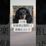 【亡くなる前のペットがすごく苦しそうだったのなら、マロンさんのように生ききる経験を増やしたかったのかもしれない】 #ペットロス