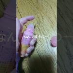 #コスメ #メイク #雰囲気 #友達欲しい #友達になってください 壊されちゃったよ、