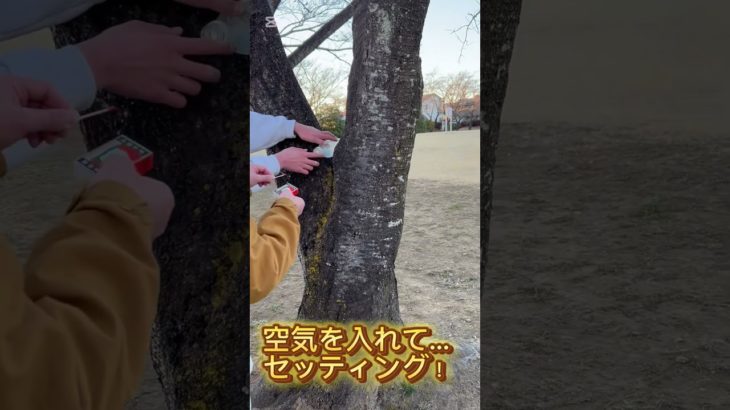 [初動画]ペットボトルロケット作ったら凄すぎたw#shorts