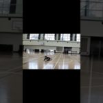 フィッシャーズドッジボール #youtube #フィッシャーズ #youtuber #フォーエイト #切り抜き