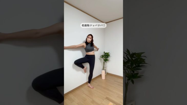 習慣になる1分トレ！ / #ダイエット #公開ダイエット #ダイエット記録 #すきまダイエット #ゆるトレ #宅トレ #すきまトレ #三日坊主 #脱三日坊主 #全身痩せ #老廃物 #脚痩せ