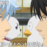 【公式アニメ】『銀魂』第15話『飼い主とペットは似る』【200万人記念！期間限定配信】