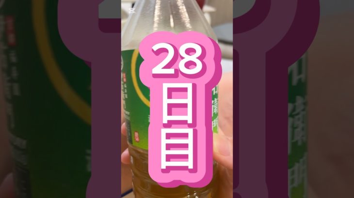 ダイエット28日目！#産後ダイエット#shorts