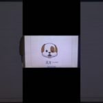 【うごメモ】フィッシャーズアニ文字 #3ds #うごくメモ帳 #うごメモ #フィッシャーズ#アニ文字