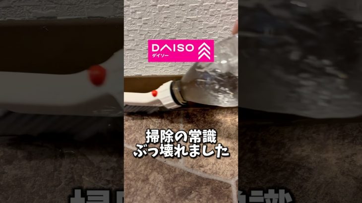 DAISO ペットボトル用スリムブラシ