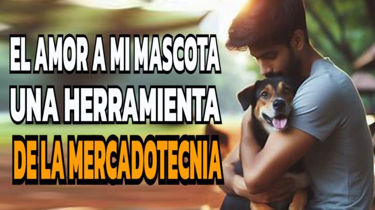 El Negocio del Amor a las Mascotas: Consejos para No Caer en la Trampa