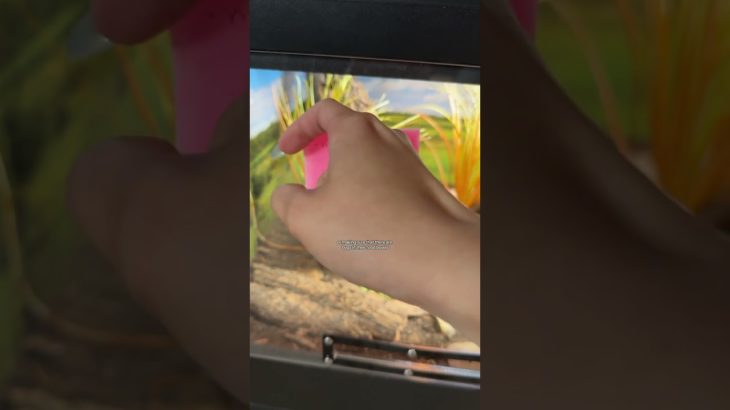 Leaving the pets is always so hard😭♥️ #pets #animals #vlog