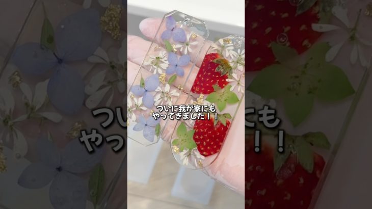 【レジン作家が大絶賛する時短アイテム！】#PR#Butiresin#ビューティレジン#押し花レジン#押し花#レジンライト#pressedflowers #まつぼっくり#shorts