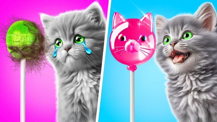 🐾 Pet Care Genius! Brilliant Hacks Every Pet Owner Needs 🐶🐱