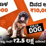 Shocking! ₹25K to ₹2.5 Lakhs/Hour in the Pet Industry | Dog Breeding In Kannada | Pet Business 2025